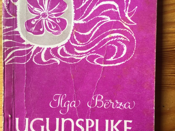 Ugunspuķe