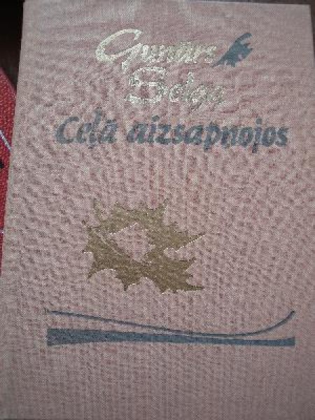 Ceļā aizsapņojos
