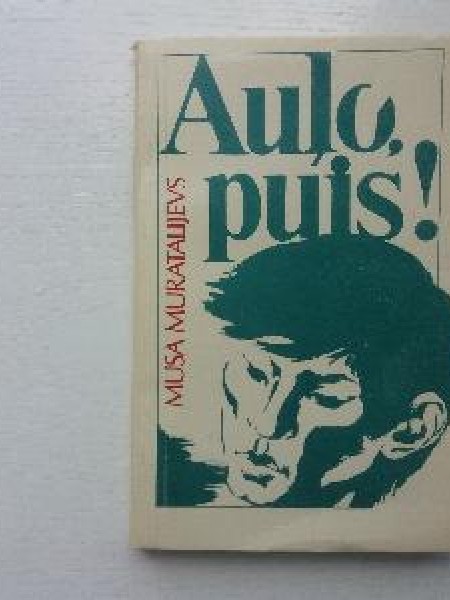 Auļo puis