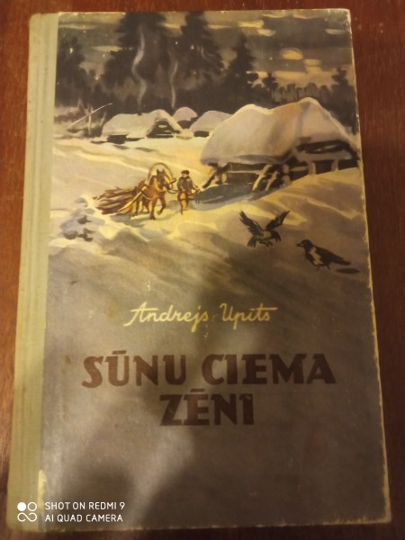 Sūnu ciema zēni
