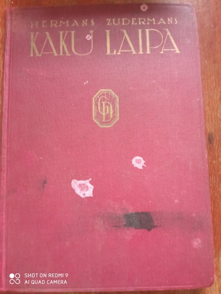 Kaķu laipa