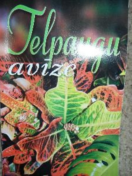 Telpaugu avīze