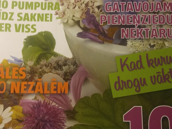 Dziedinoši augi