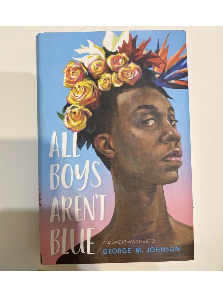 All boys arent blue