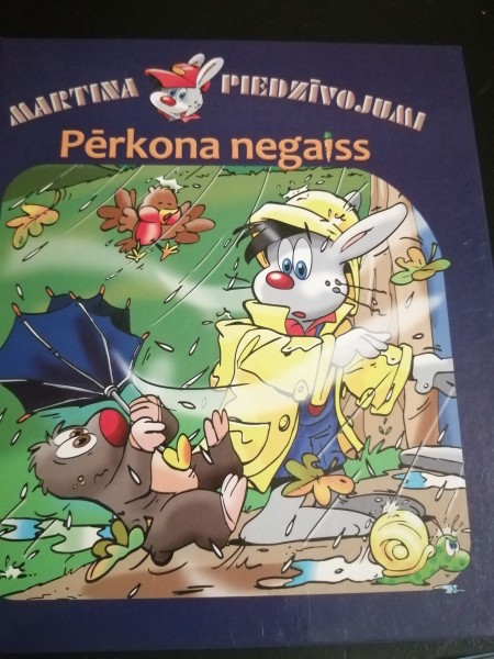 Pērkona negaiss