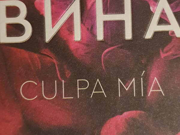 Моя вина
