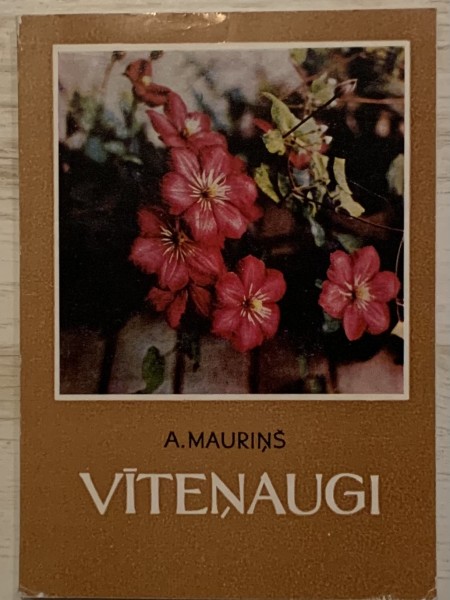 Vīteņaugi