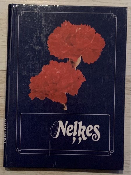 Neļķes