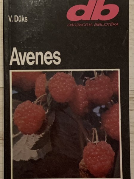 Avenes