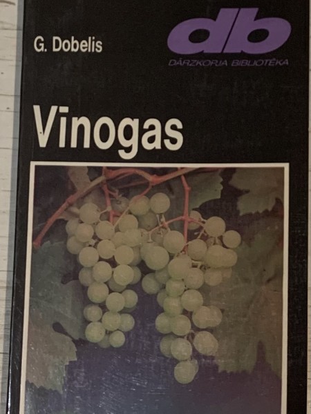 Vīnogas