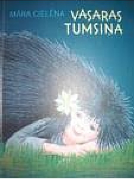 Vasaras tumsiņa