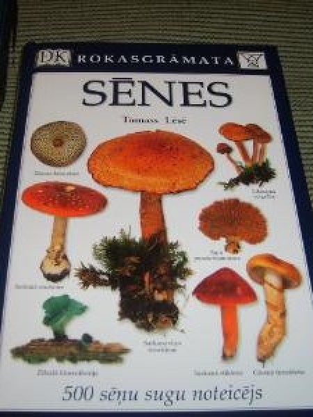 Sēnes