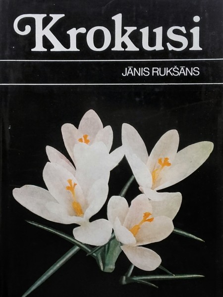 Krokusi