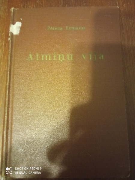 Atmiņu vija