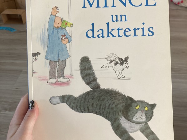 Mince un dakteris