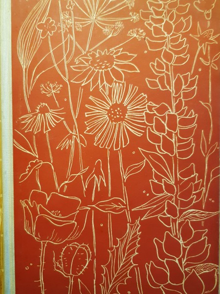 Blumen im garten