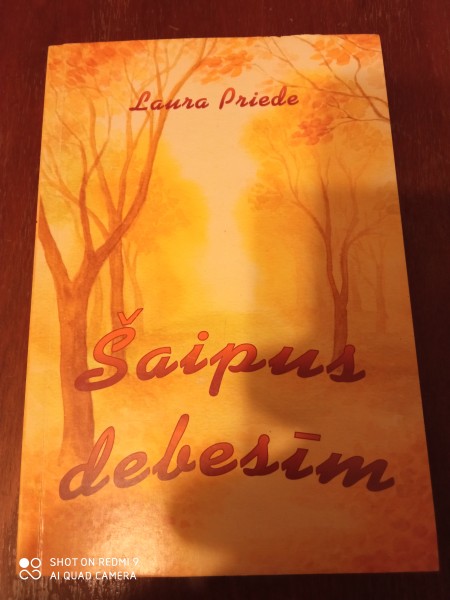 Šaipus debesīm
