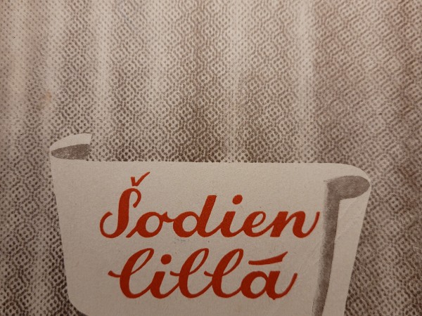 Šodien lillā