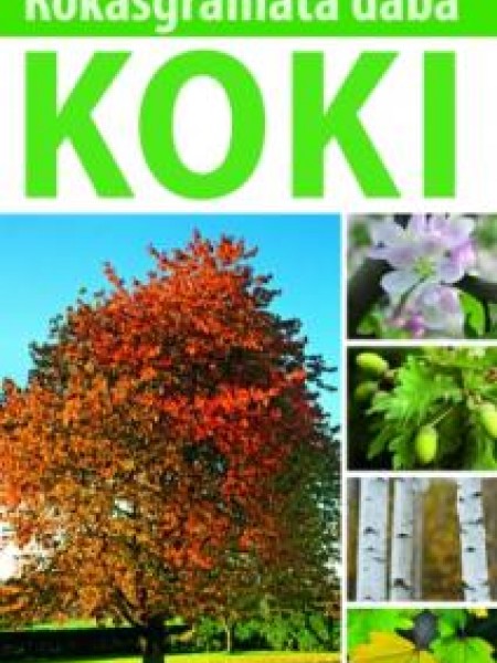 Koki