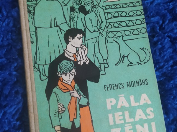 Pāra ielas zēns
