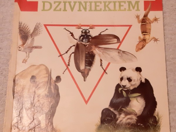 Enciklopedija