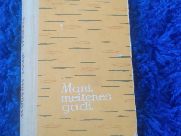 Mani meitenes gadi