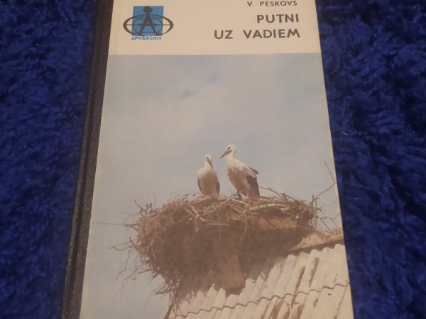 Putni uz vadiem