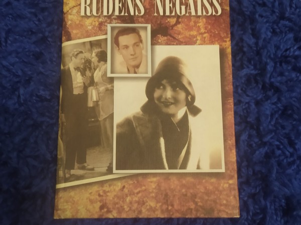 Rudens negaiss