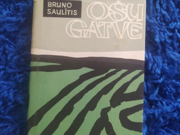 Ošu gatve