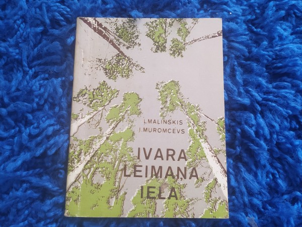 Ivara Leimaņa iela