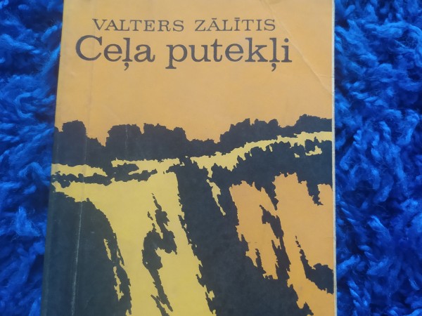 Ceļa putekļi