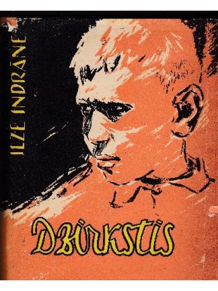 Dzirkstis