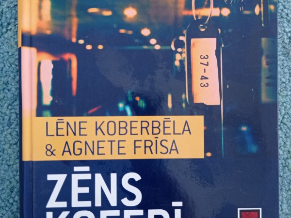 Zēns koferī