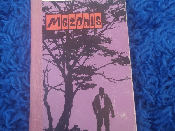 Mežonis