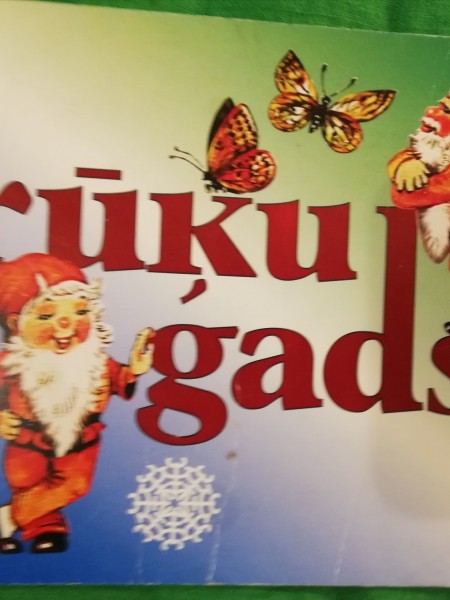 Rūķu gads