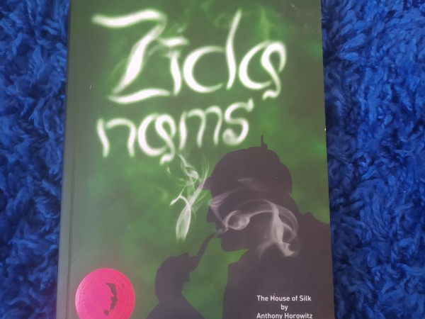 Zīda nams