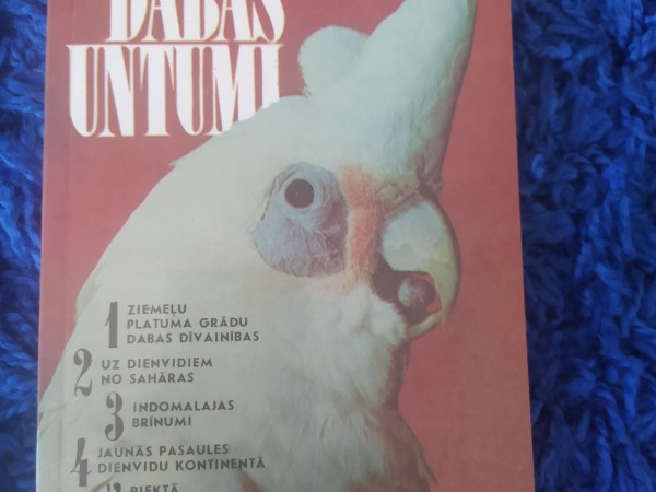 Dabas untumi