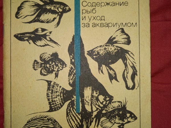 Аквариум
