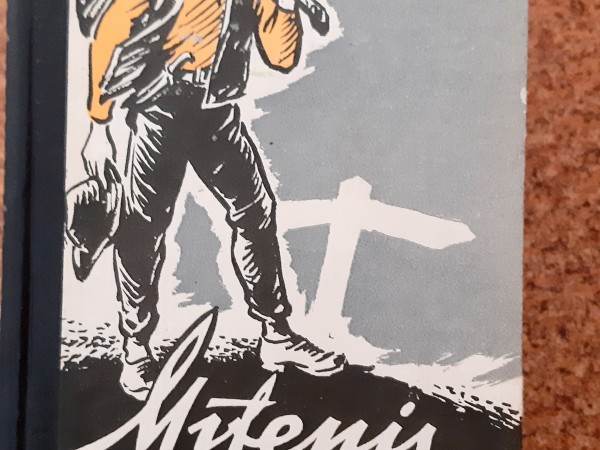 Mītenis Viljami