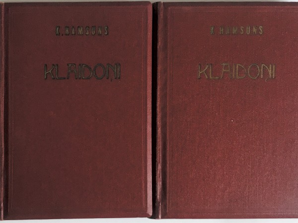 Klaidoņi