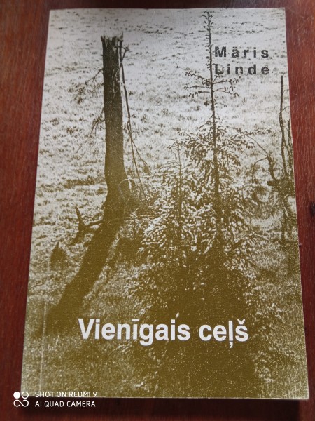 Vienīgais ceļš