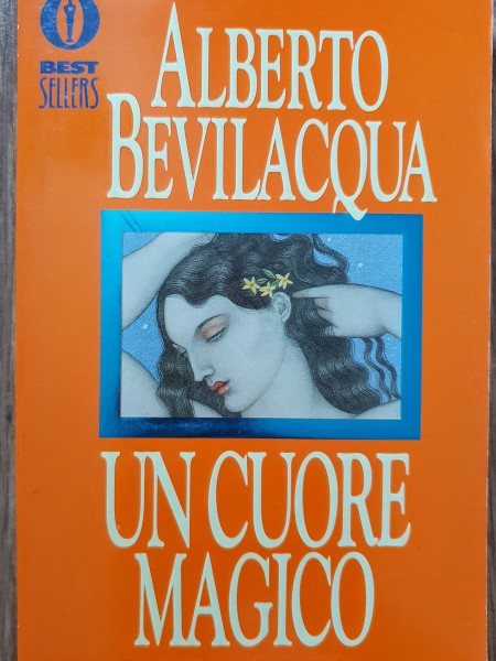 Un cuore magico