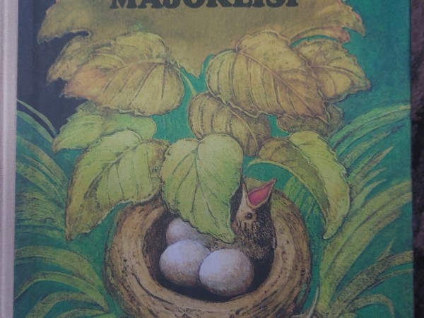 Meža mājoklīši