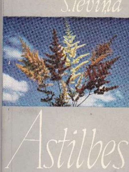 Astilbes