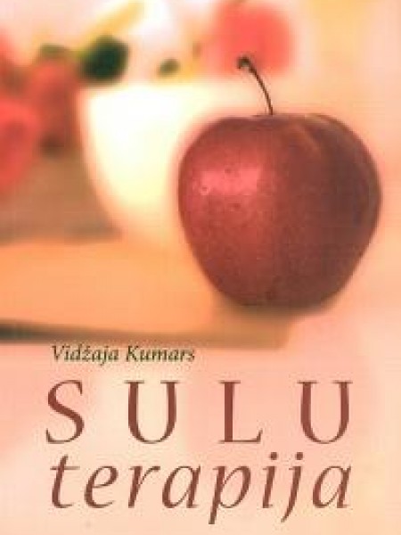 Sulu terapija