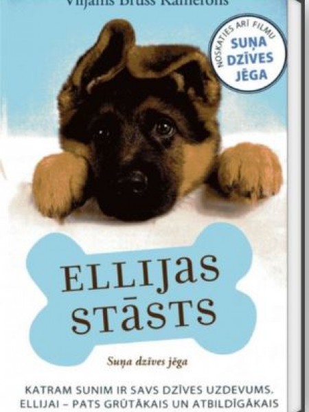 Elijas stāsts