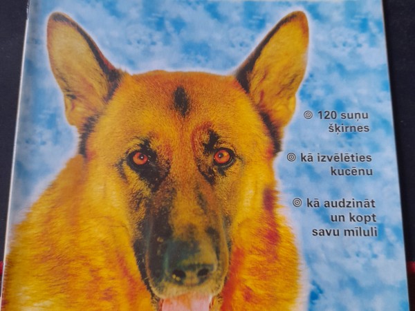 Suņu avīze