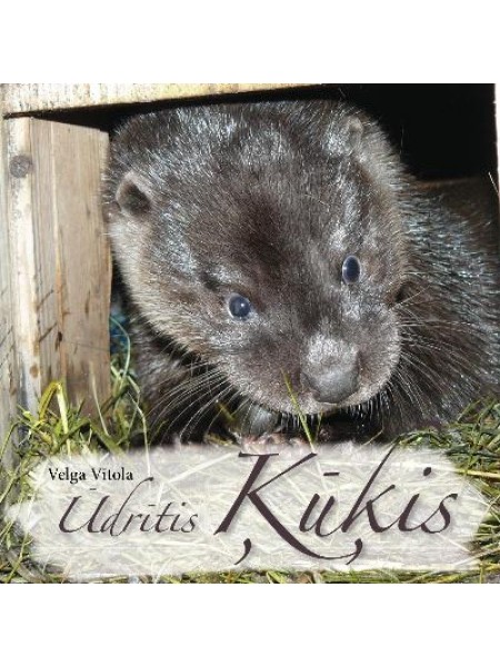 Ūdrītis Ķūķis