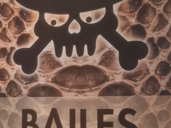 Bailes
