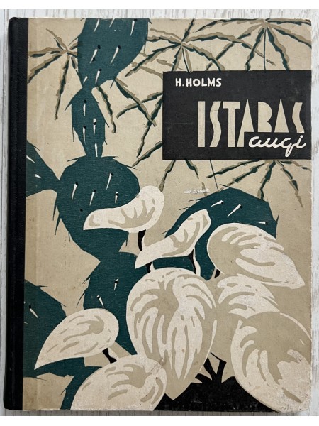 Istabas augi
